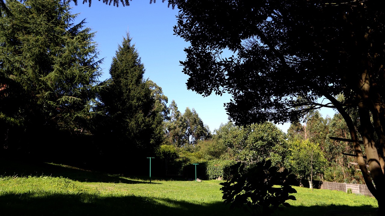 Photo of Outdoor in Santiago de Compostela