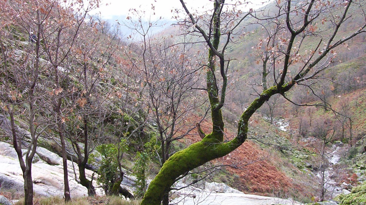 Photo of Outdoor in Cabezuela del Valle