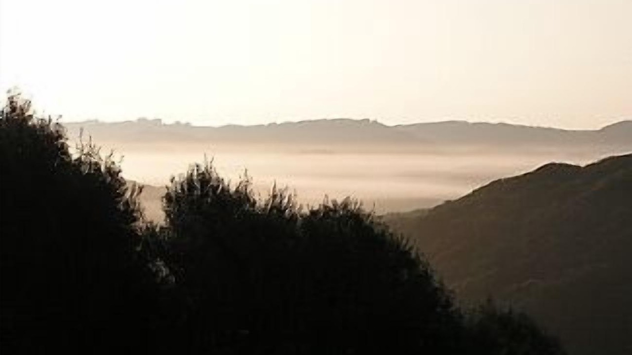 Photo of Others in Mahon
