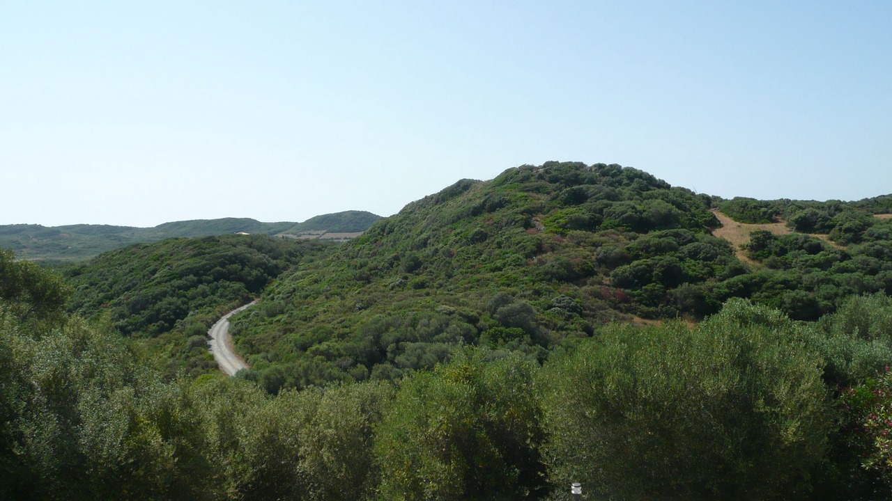 Photo of Others in Mahon