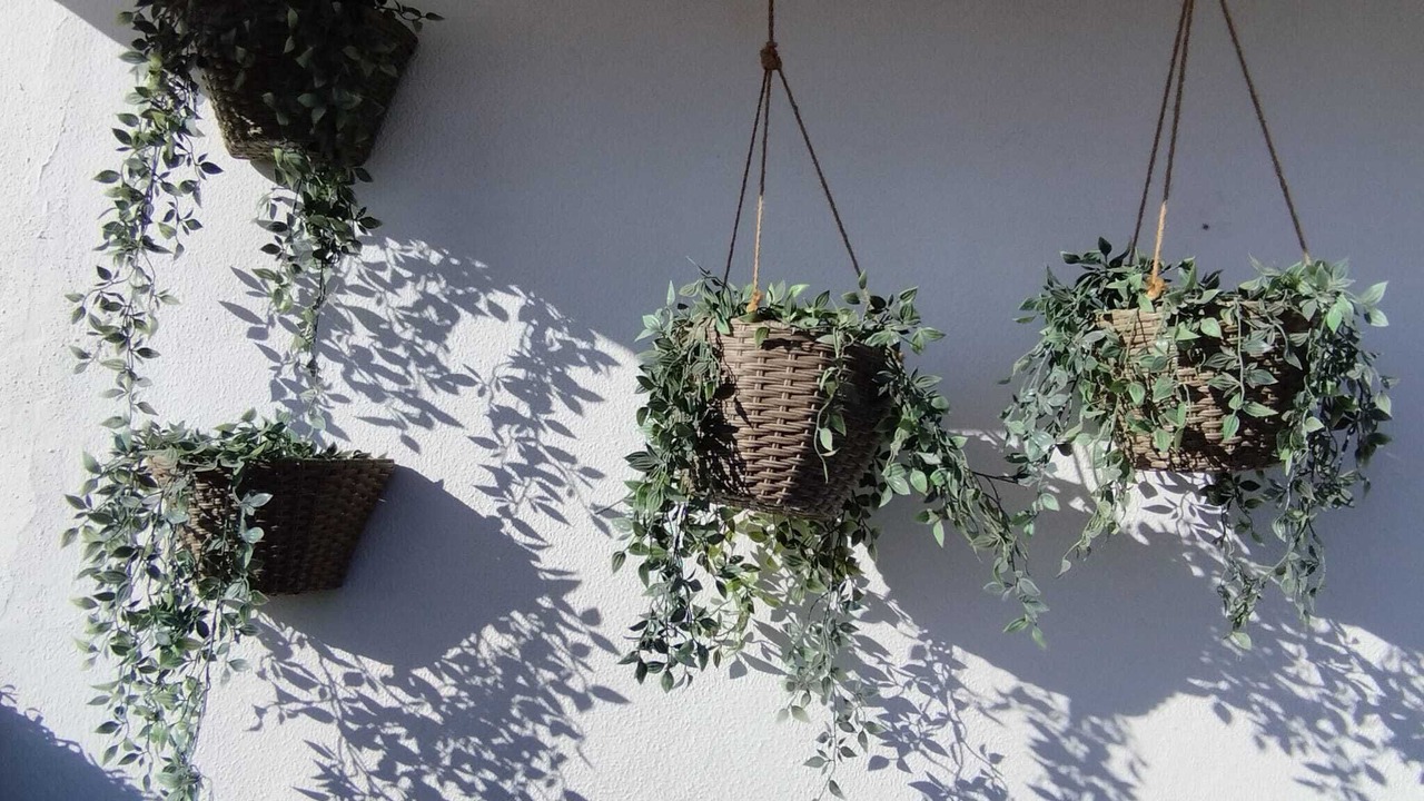 Photo of Outdoor in Alicante City Centre
