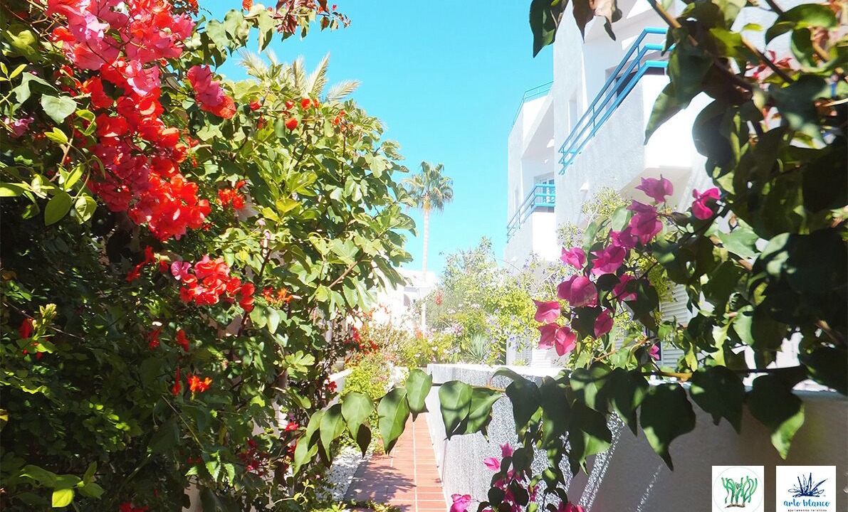 Photo of Outdoor in Agua Amarga
