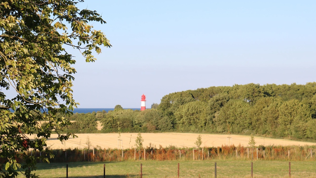 Photo of Others in Pommerby