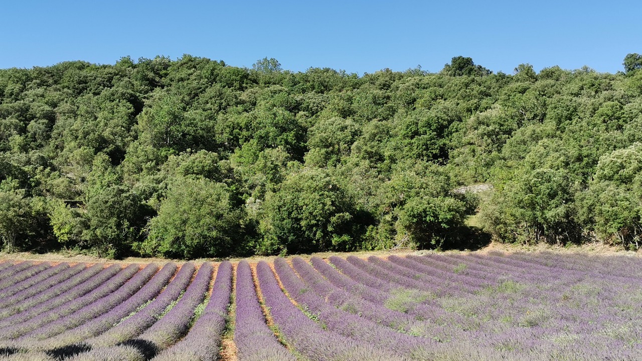 Photo of Outdoor in Montclus