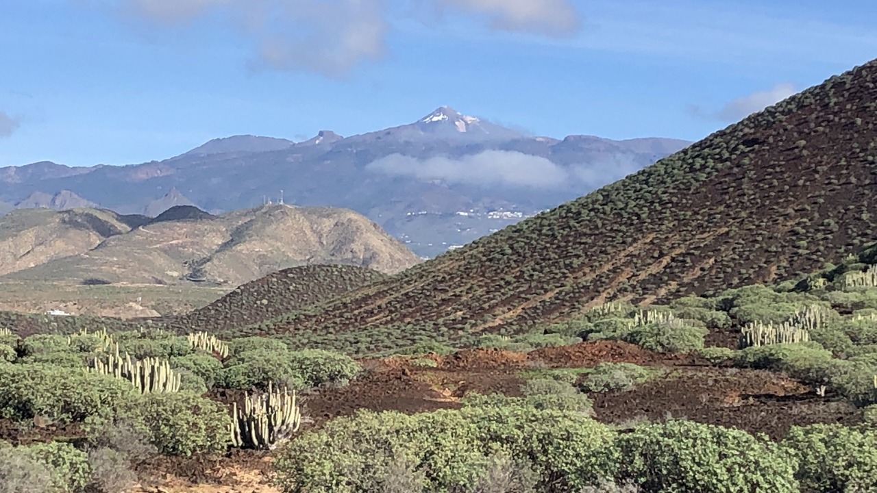 Photo of Outdoor in Playa Paraiso