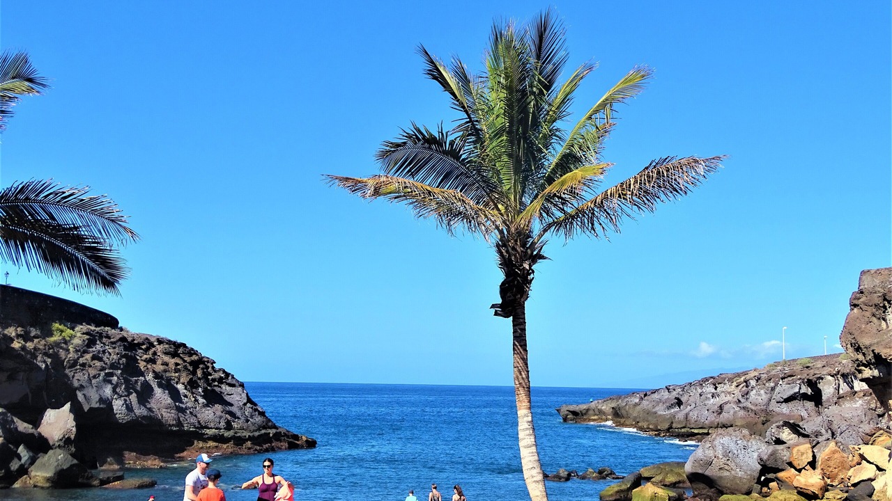 Photo of Others in Playa Paraiso