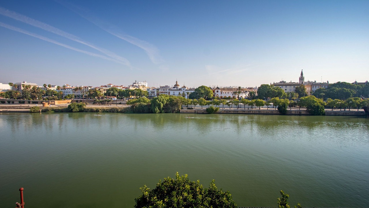 Photo of Others in Triana