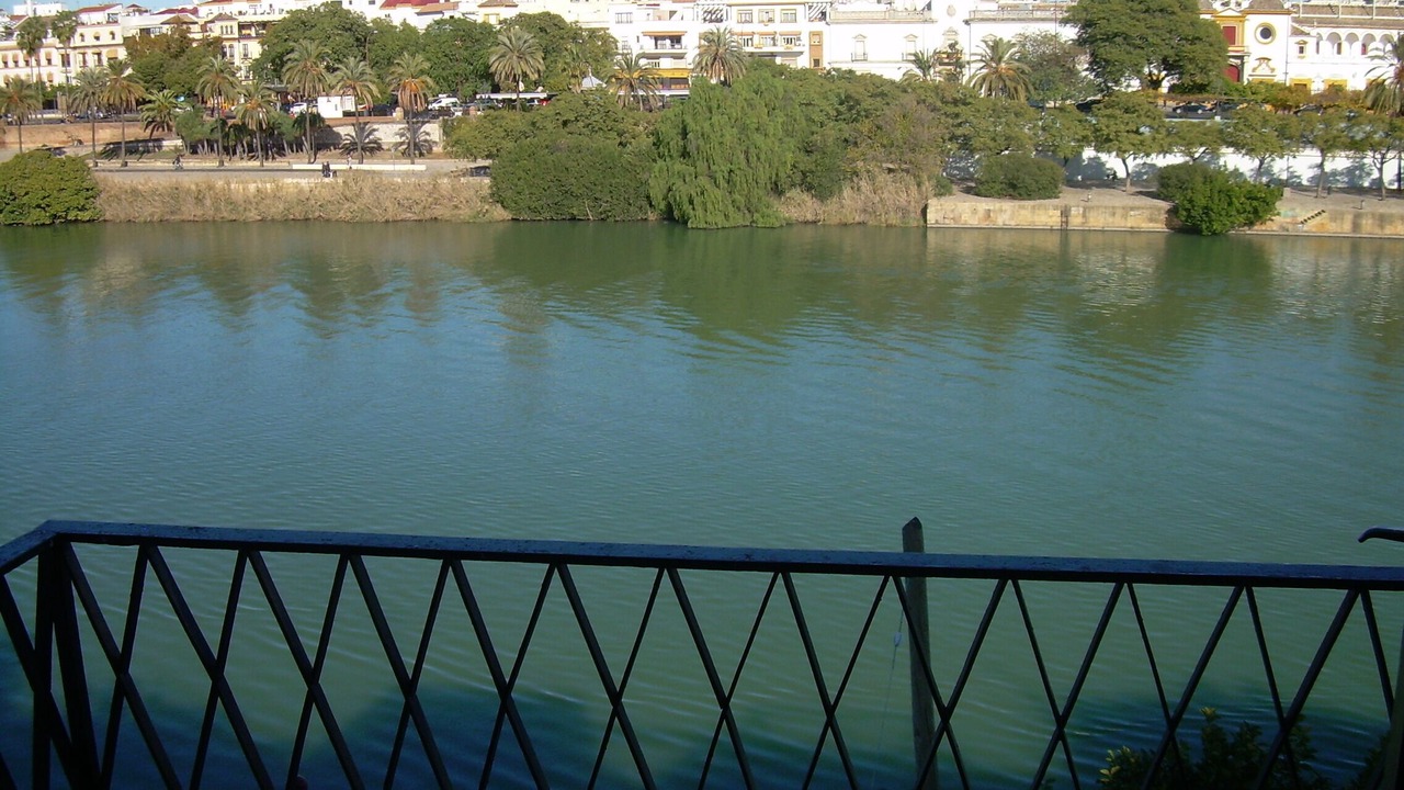 Photo of Outdoor in Triana