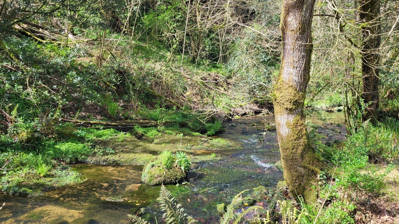 Photo of Outdoor in Entrambasaguas