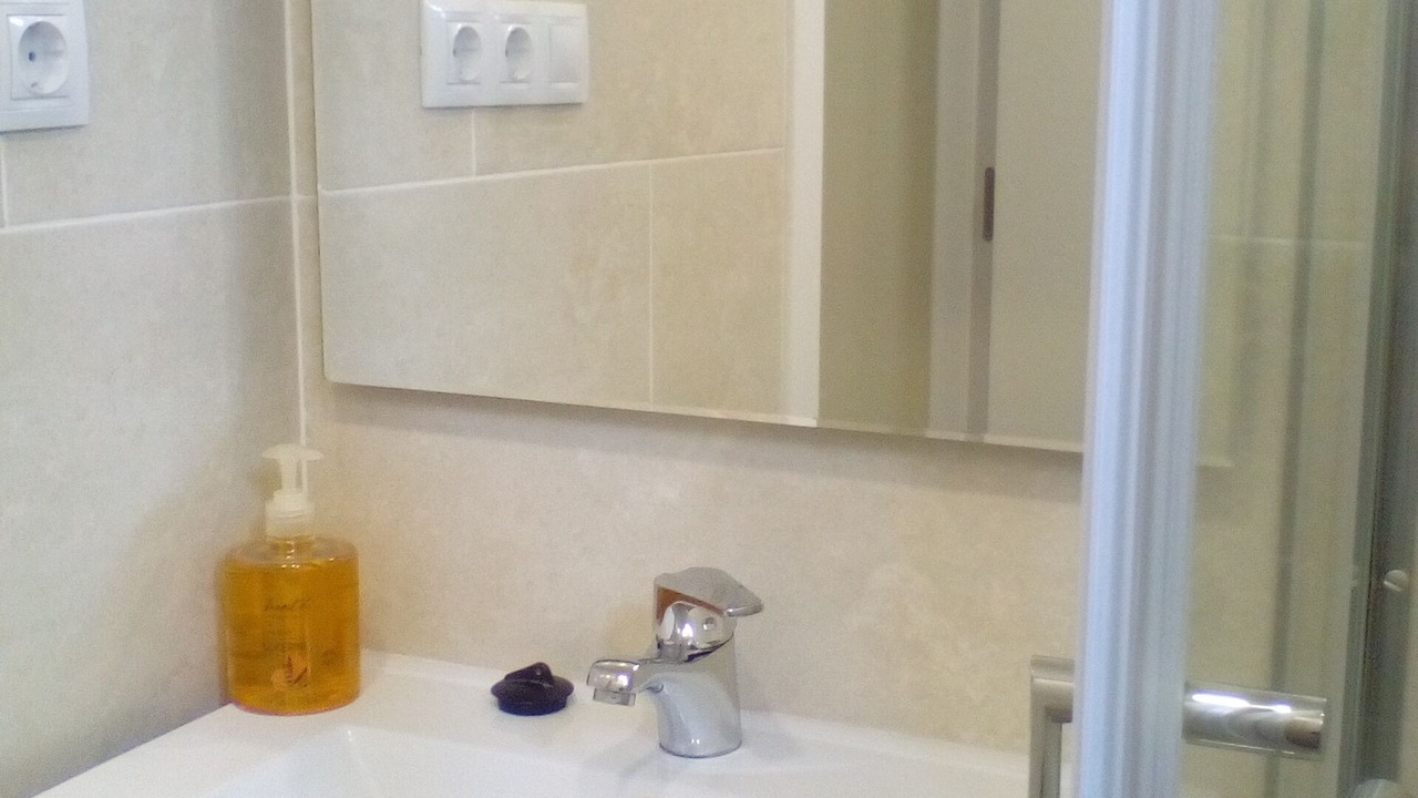 Photo of Bathroom in El Port