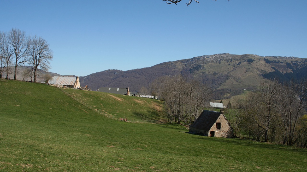 Photo of Outdoor in Campan