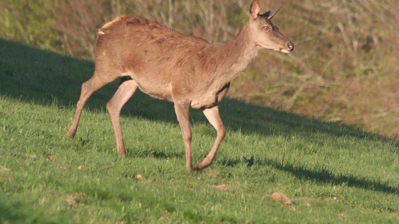 Photo of Outdoor in Campan