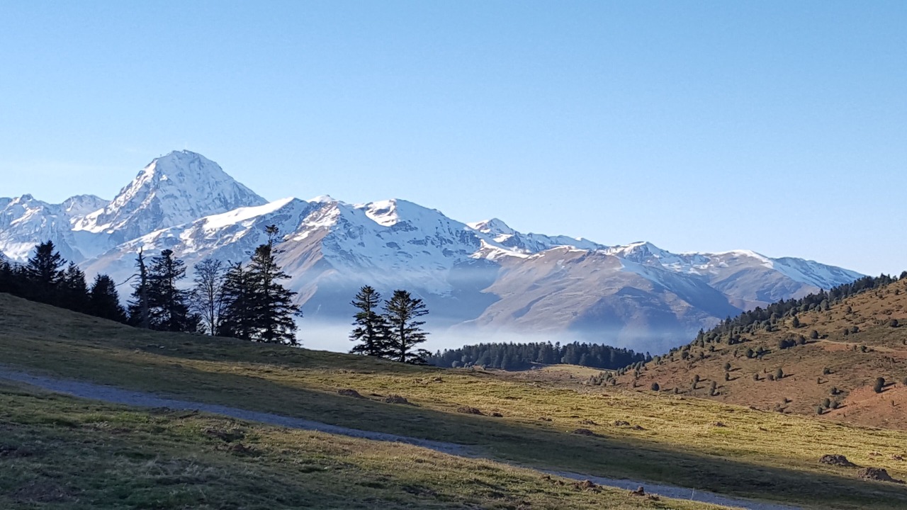 Photo of Outdoor in Campan