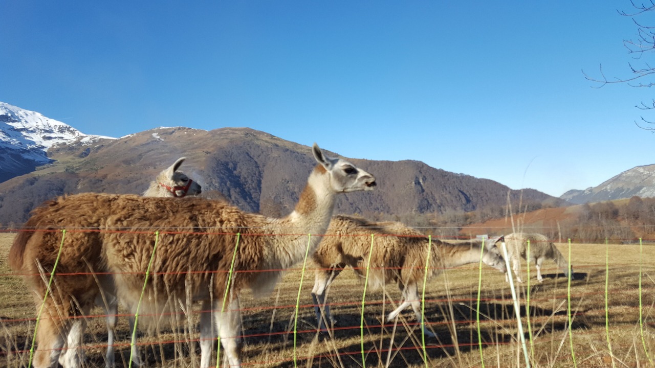 Photo of Outdoor in Campan