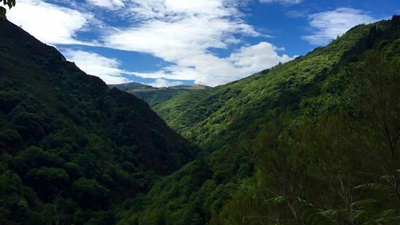 Photo of Outdoor in Aldeguer
