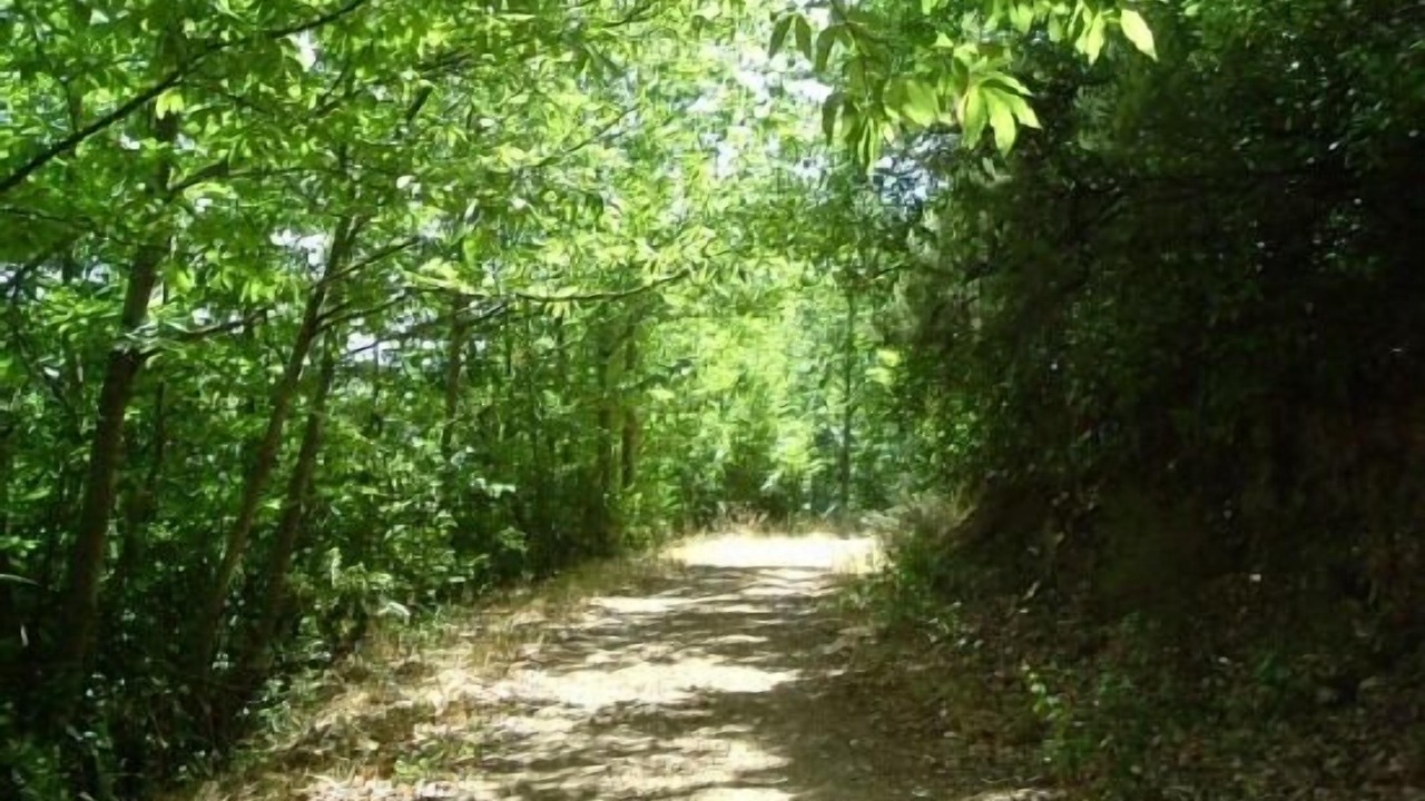 Photo of Outdoor in Santibanez de la Sierra
