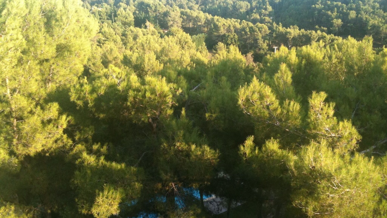 Photo of Others in Saint-Marc-Jaumegarde