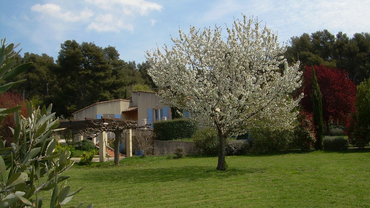 Photo of Outdoor in Simiane-Collongue