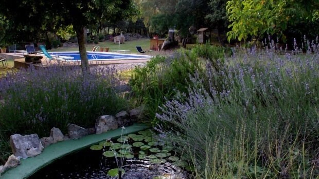Photo of Outdoor in Darnius