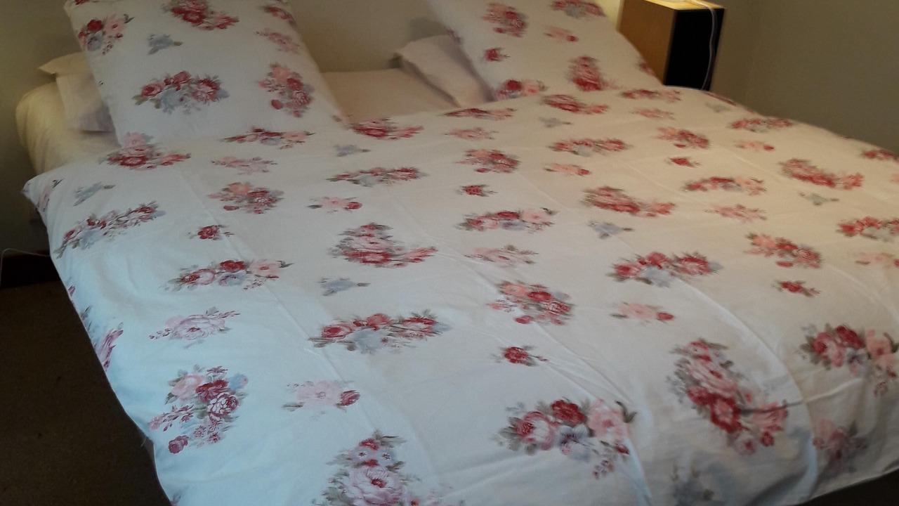 Photo of Bedroom in Divonne-les-Bains