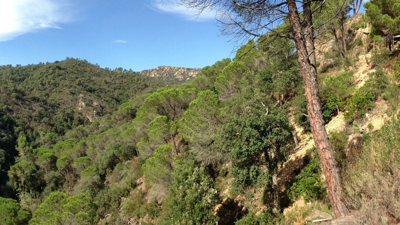Photo of Outdoor in Sant Feliu de Guixols