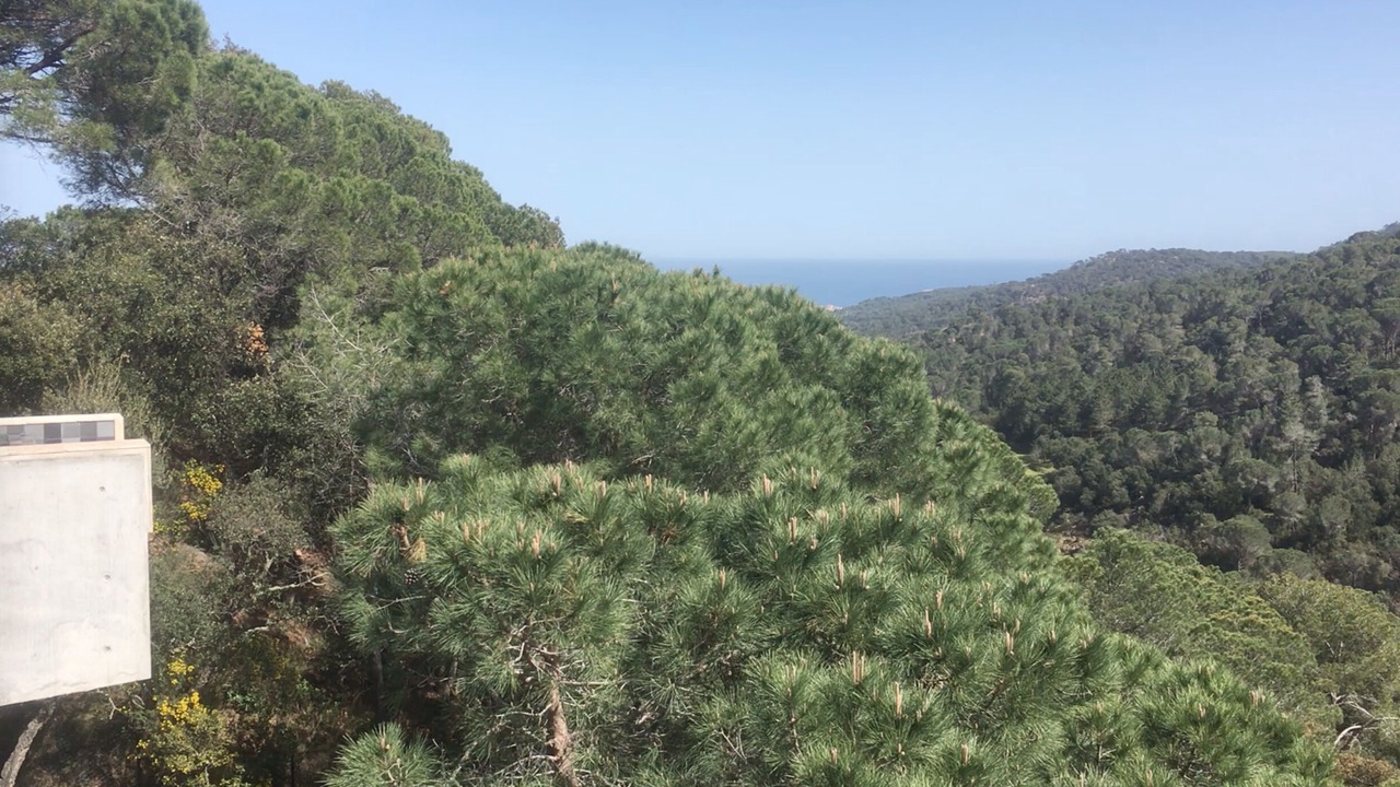 Photo of Outdoor in Sant Feliu de Guixols