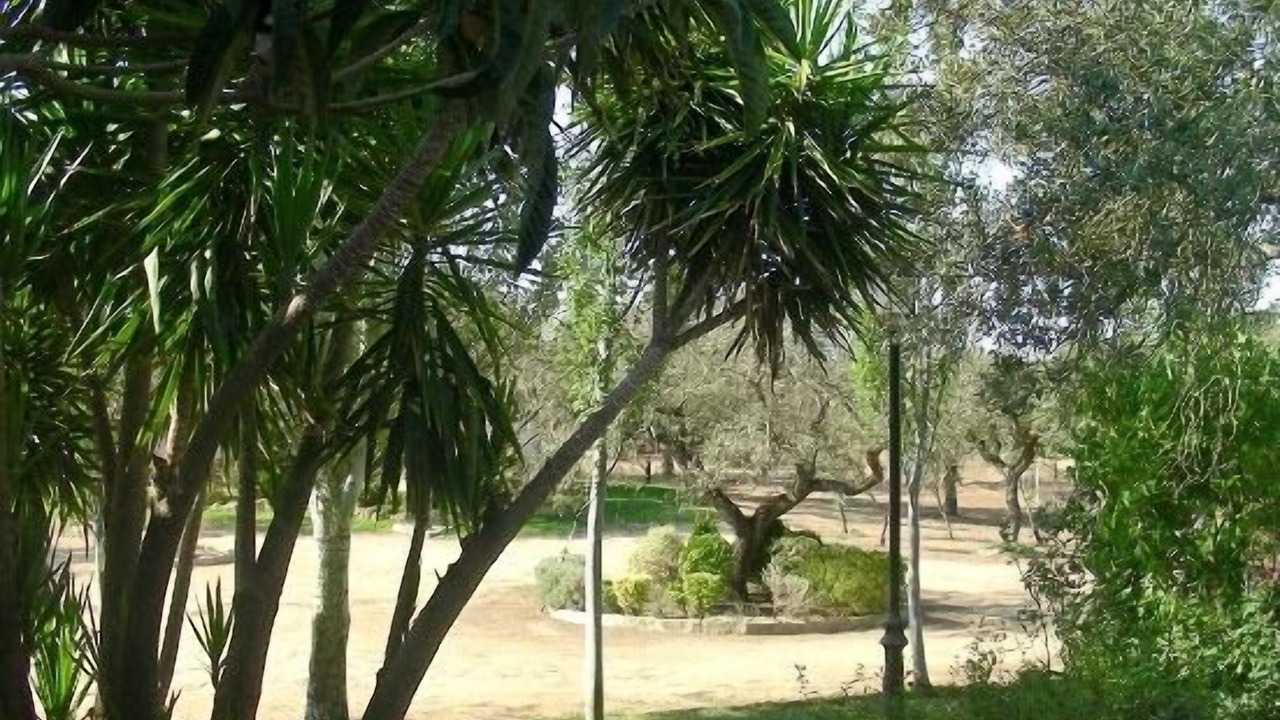 Photo of Outdoor in Herrera de Alcantara