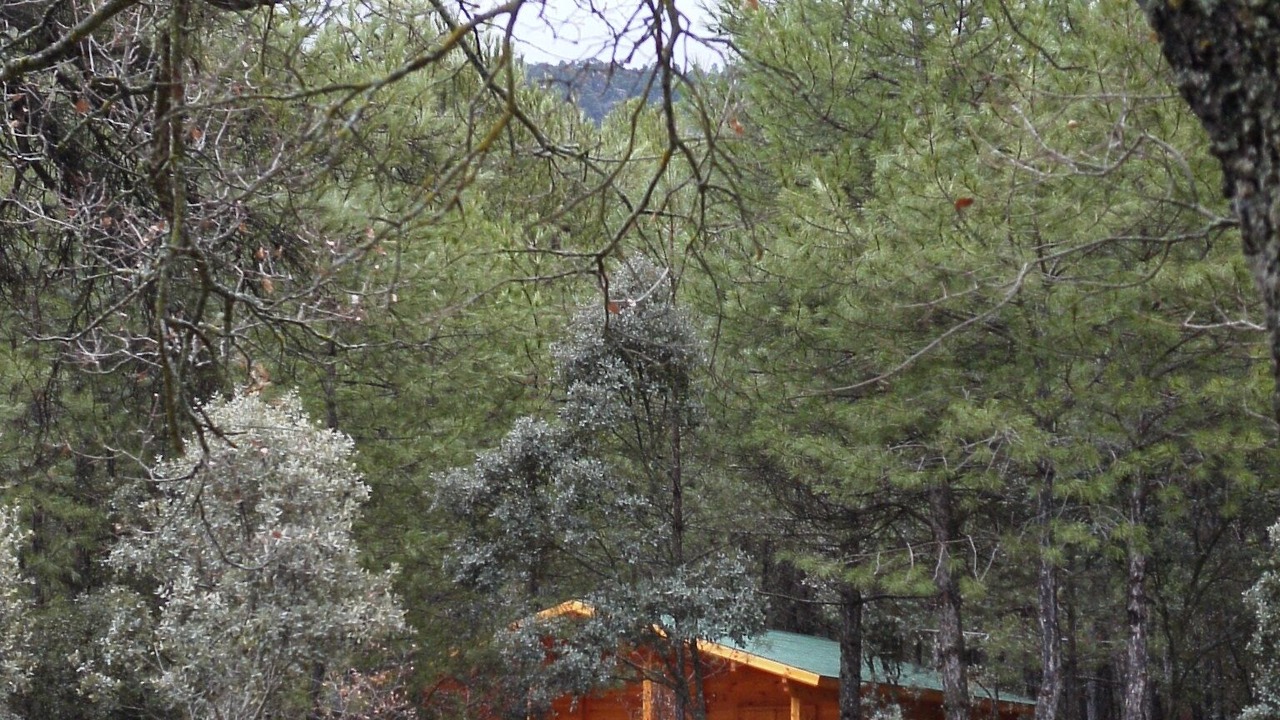 Photo of Outdoor in Canamares