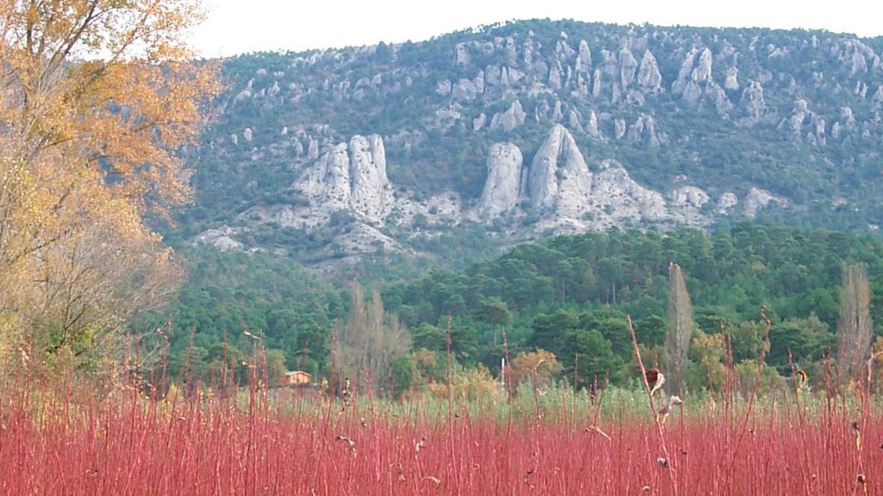 Photo of Outdoor in Canamares