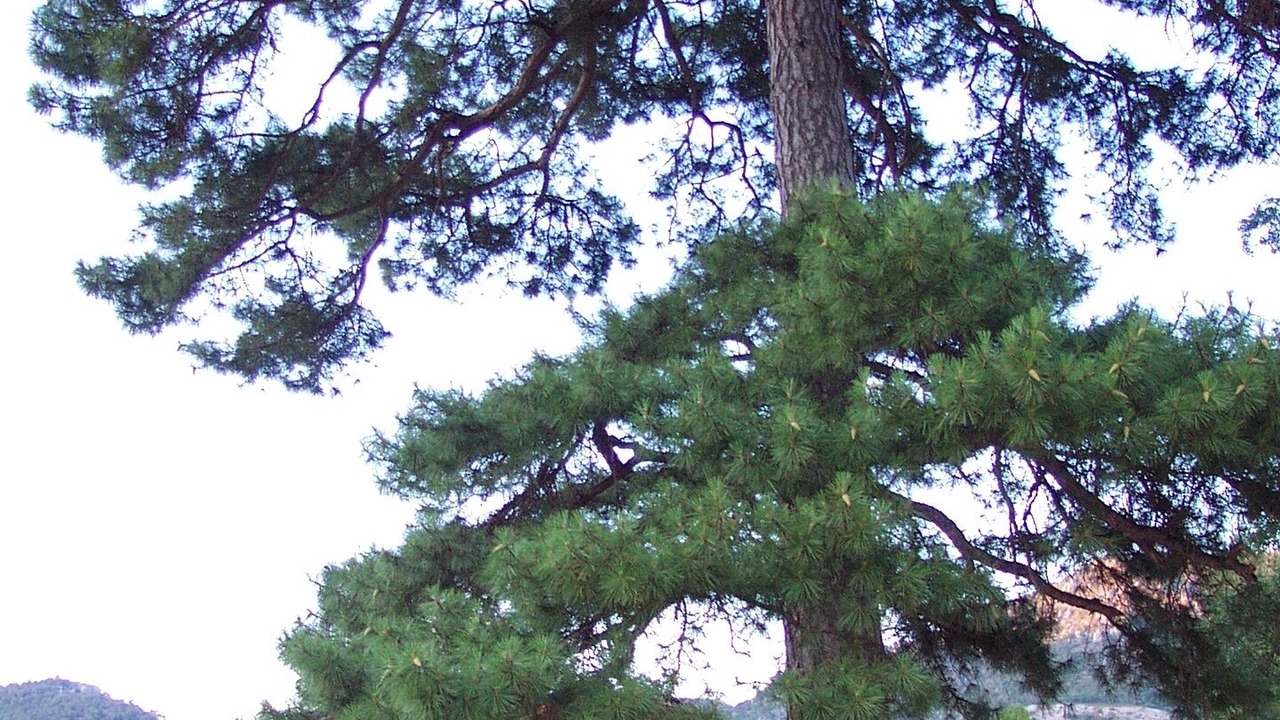 Photo of Outdoor in Canamares