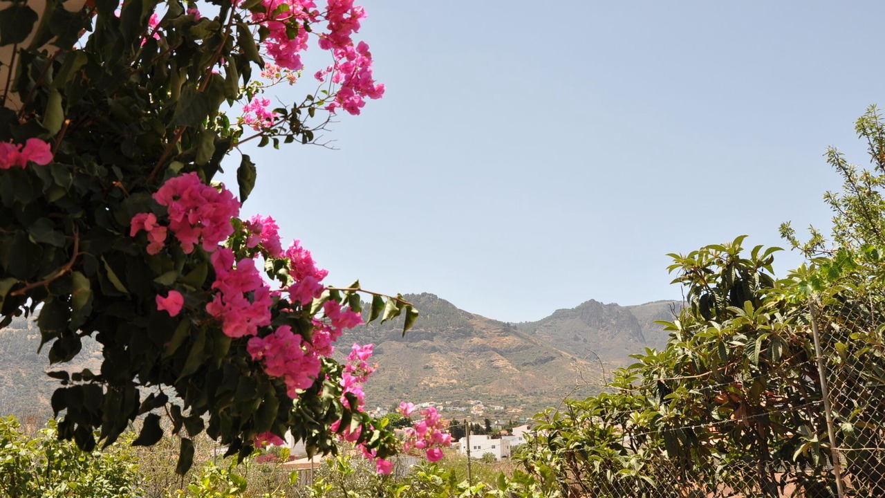 Photo of Outdoor in Valsequillo de Gran Canaria