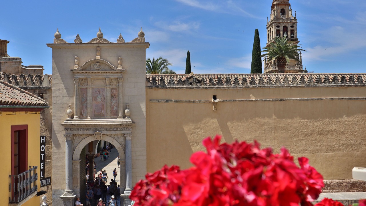 Photo of Others in La Catedral