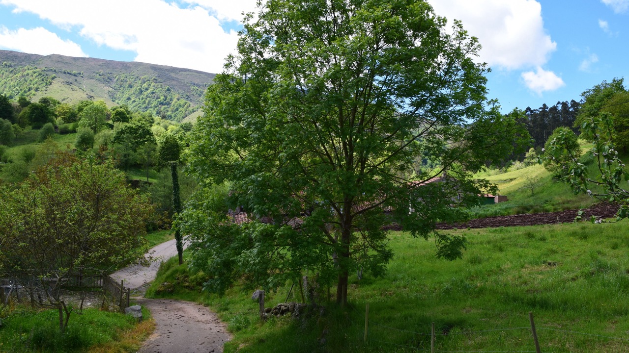 Photo of Outdoor in Valdaliga