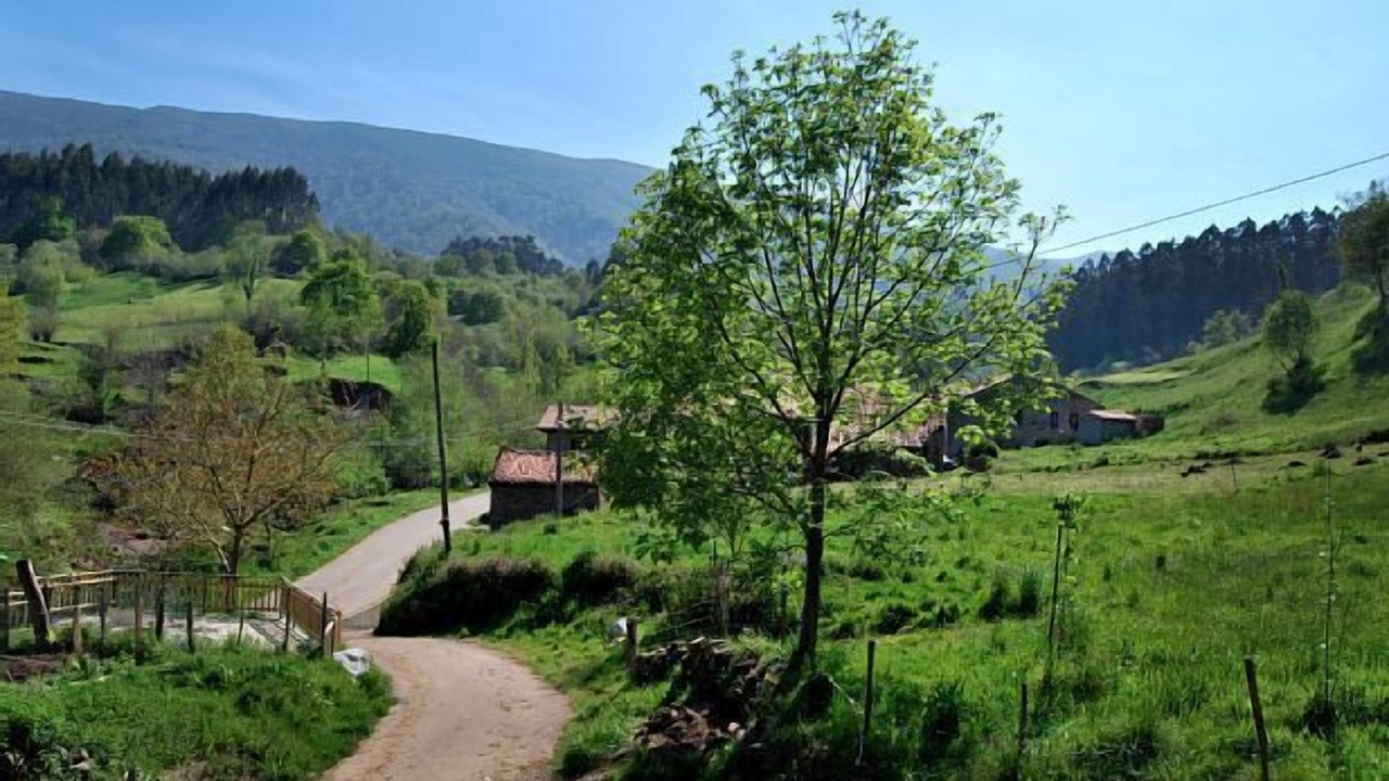 Photo of Outdoor in Valdaliga