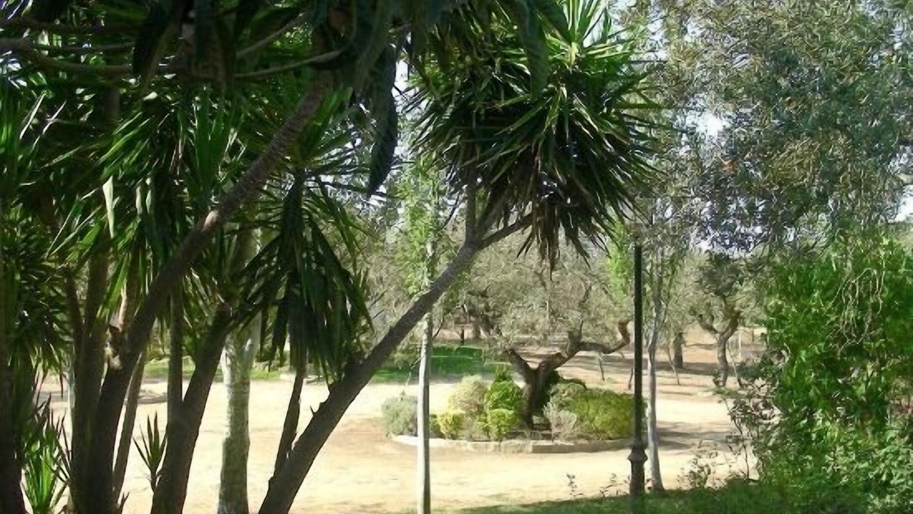 Photo of Outdoor in Herrera de Alcantara