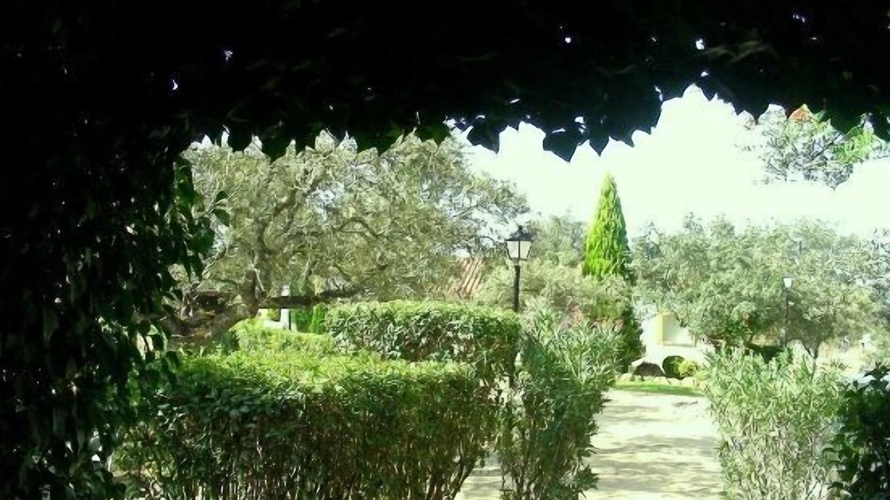 Photo of Outdoor in Herrera de Alcantara