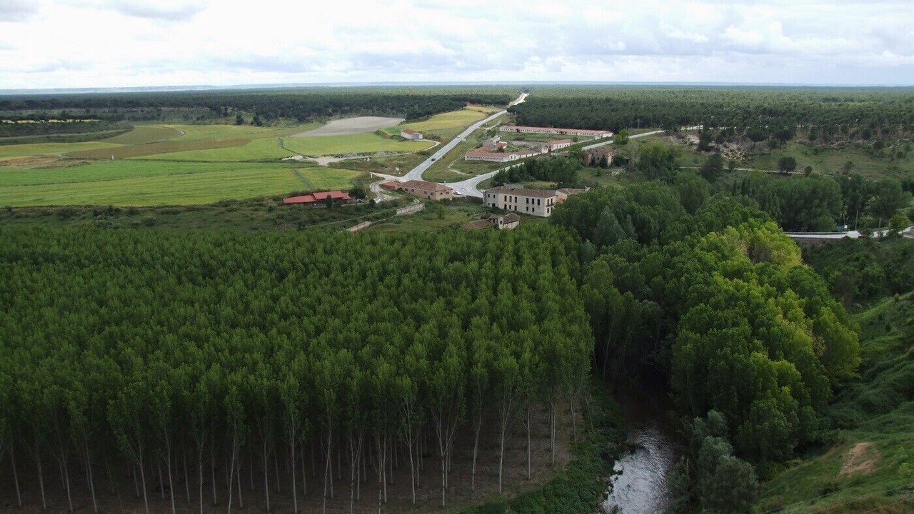 Photo of Outdoor in Coca