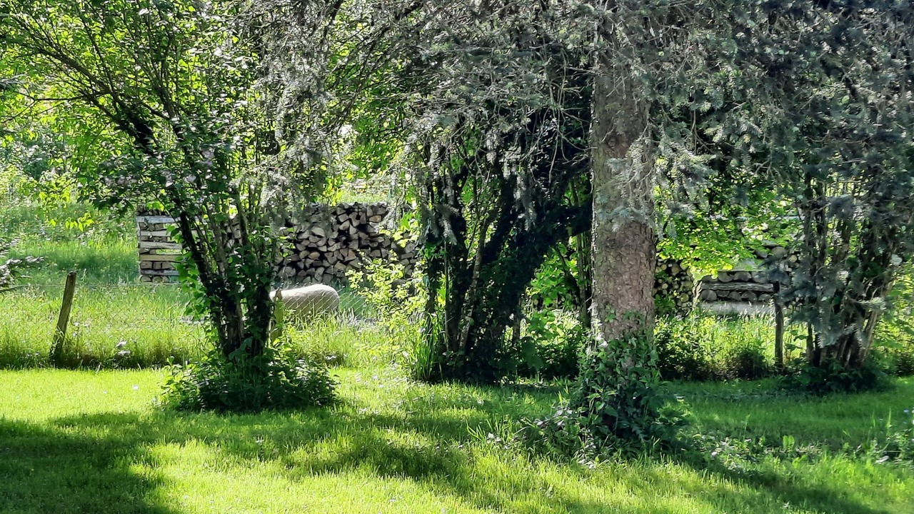 Photo of Outdoor in Publy