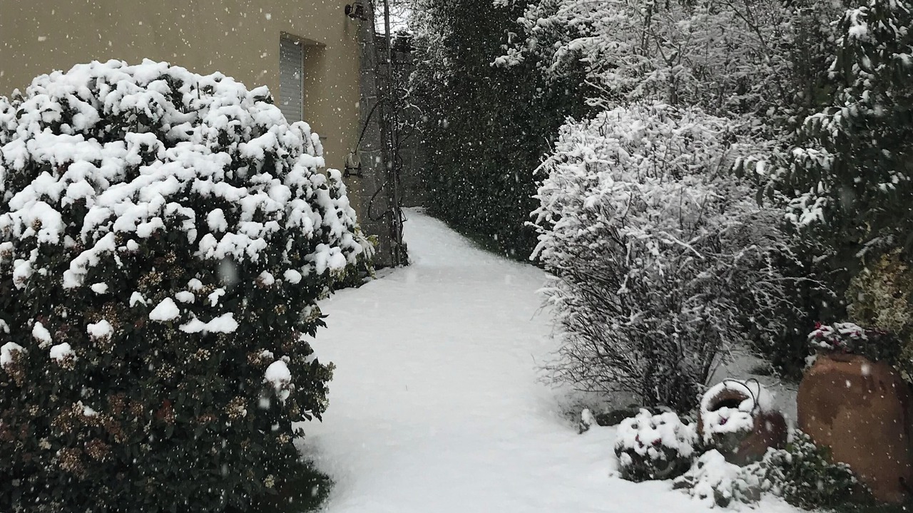 Photo of Outdoor in Cercedilla