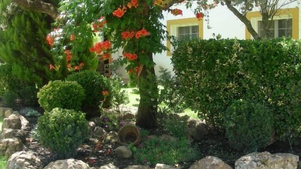 Photo of Outdoor in Herrera de Alcantara