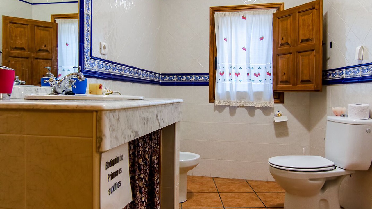 Photo of Bathroom in San Martin de Trevejo