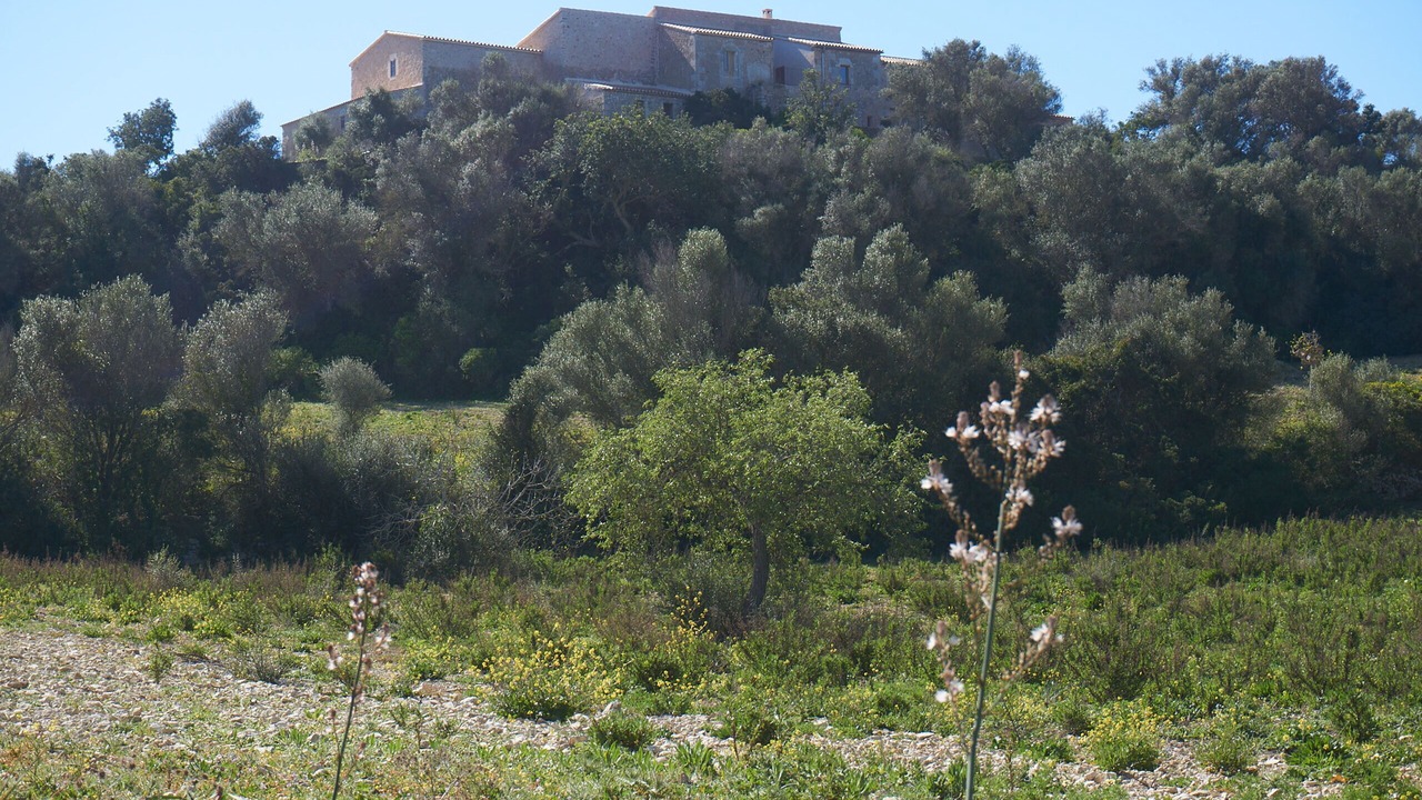 Photo of Outdoor in Manacor