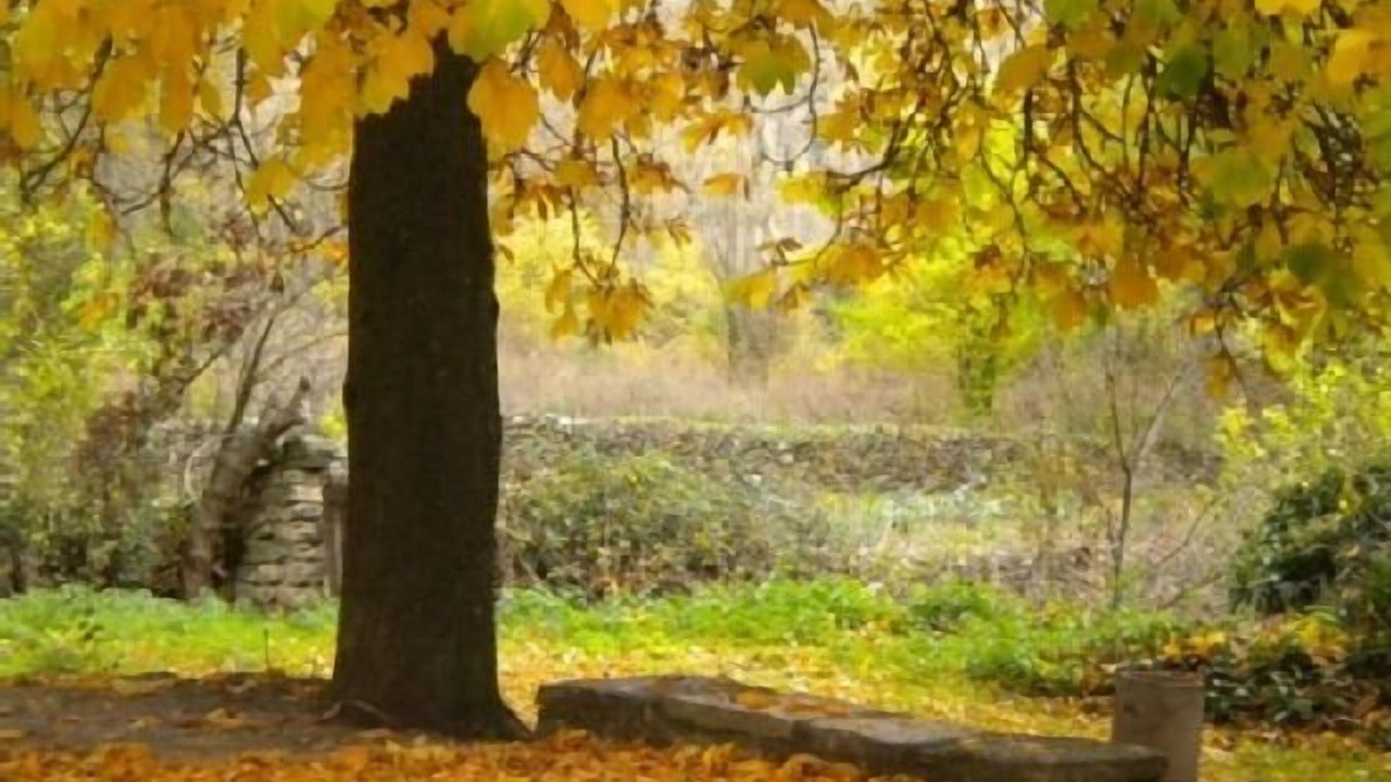 Photo of Outdoor in Siguenza