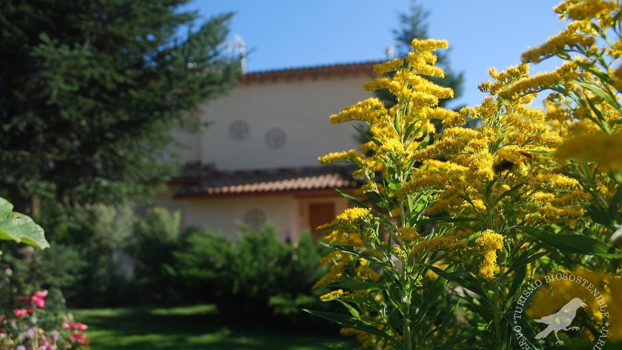 Photo of Outdoor in Vega del Codorno