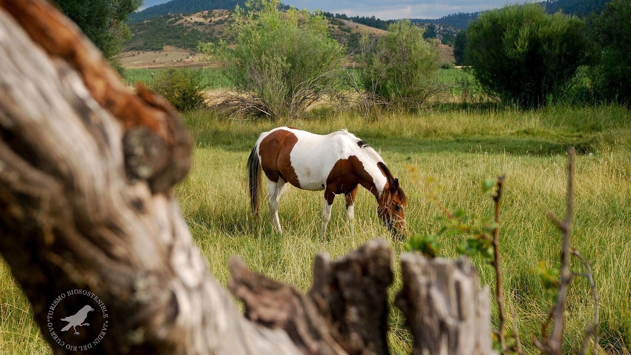 Photo of Outdoor in Vega del Codorno