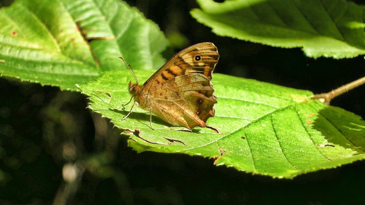 Photo of Outdoor in Vega del Codorno