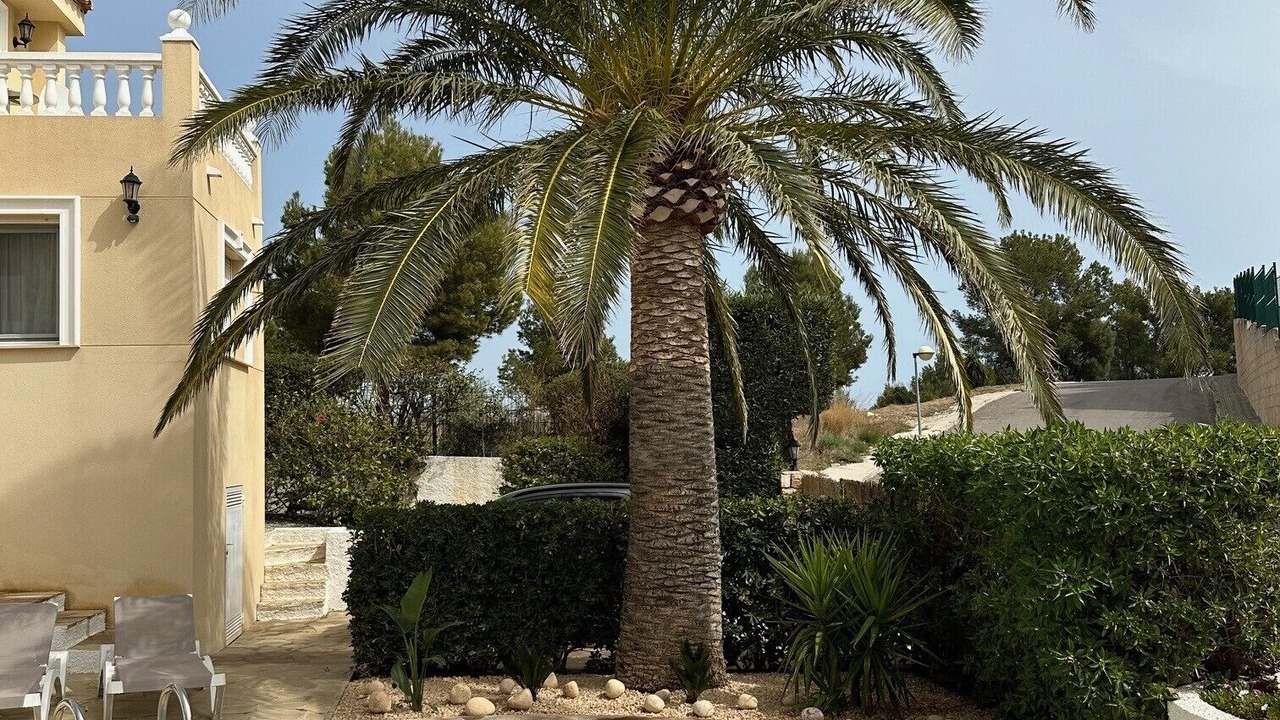 Photo of Outdoor in Alcossebre