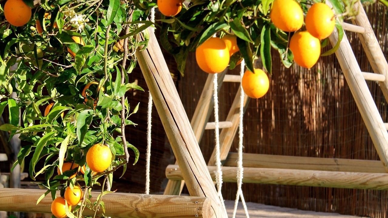 Photo of Outdoor in Deia