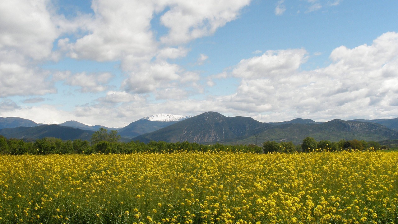 Photo of Outdoor in Ainsa-Sobrarbe