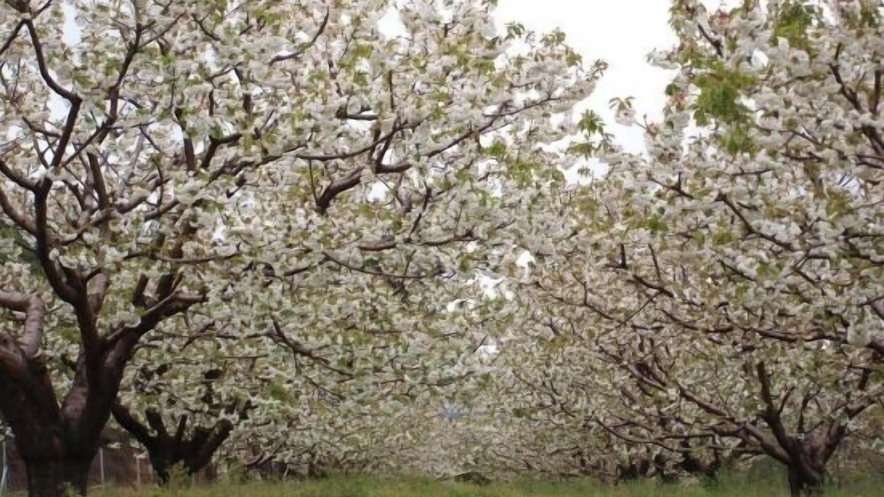 Photo of Outdoor in Horcajo